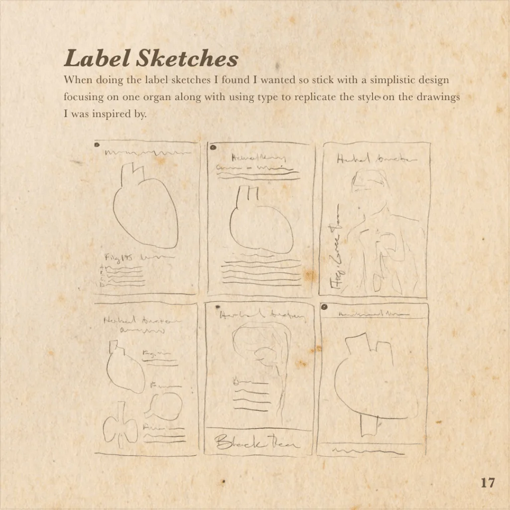 Pencil sketches exploring label layouts for the Herbal Anatomy tea line